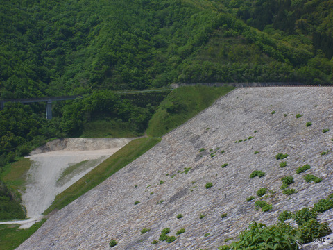 P1060040