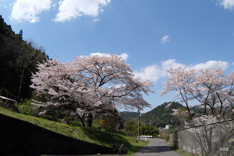 DSCF5396
