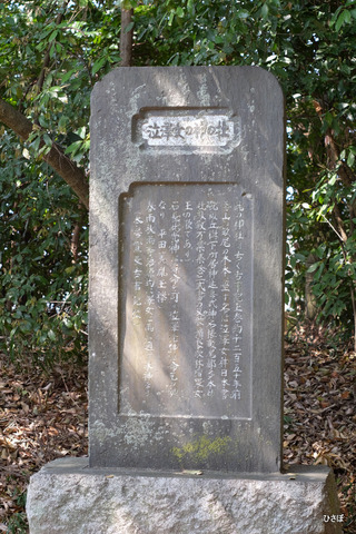 DSCF6114