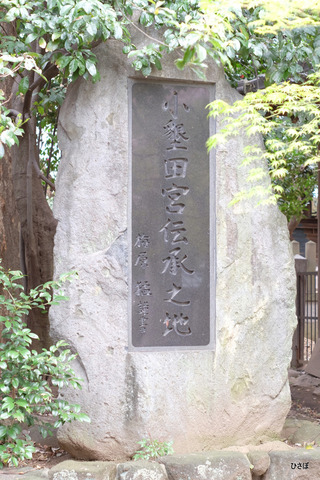 DSCF6728
