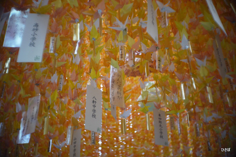 P1070040
