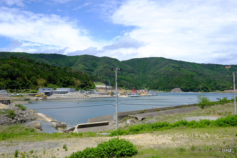 DSCF0730