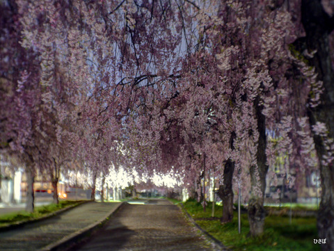 P1050763_4_5_fused