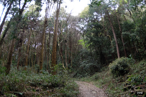 DSCF4666