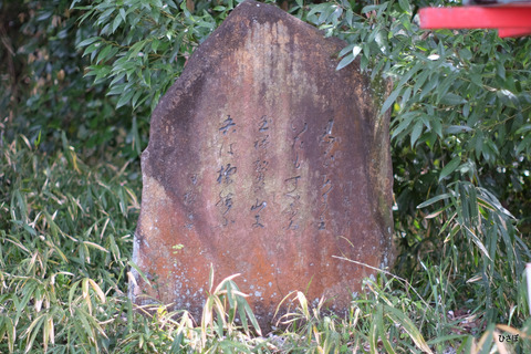 DSCF4717