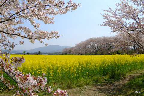 DSCF5912