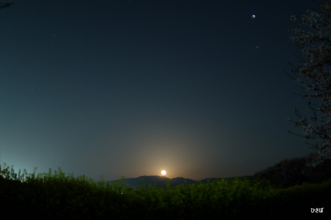 DSCF6136
