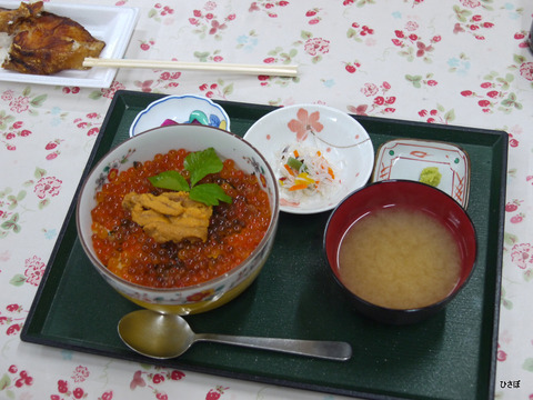 P1060095