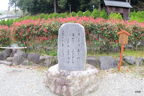 DSCF4784