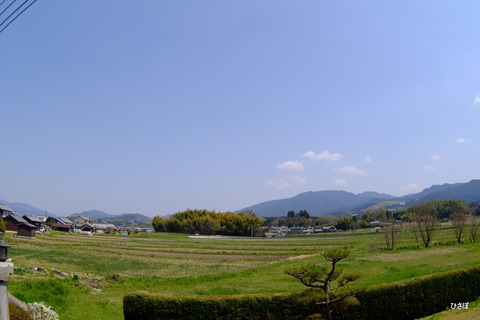 DSCF5986