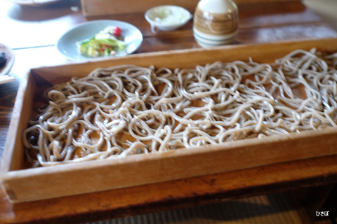DSCF1171