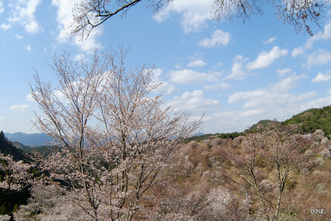 DSCF5470