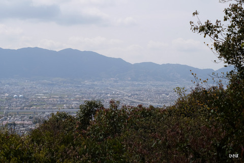 DSCF4689