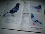 18b66117.jpg