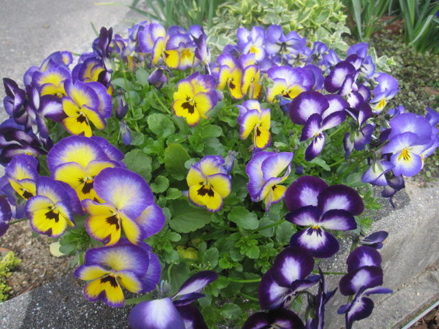 002