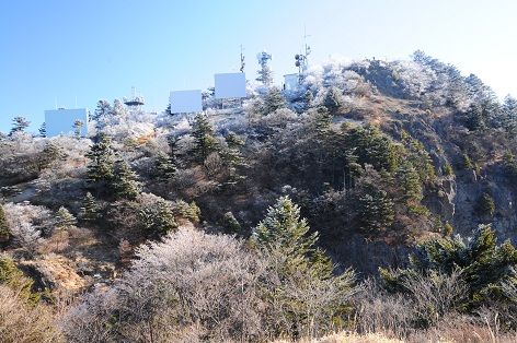 DSC_7453
