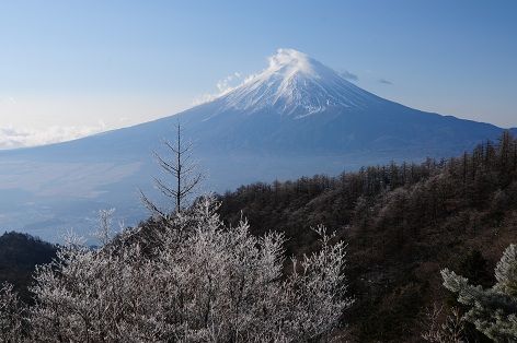 DSC_7408