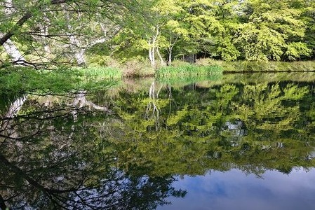 DSCF1068