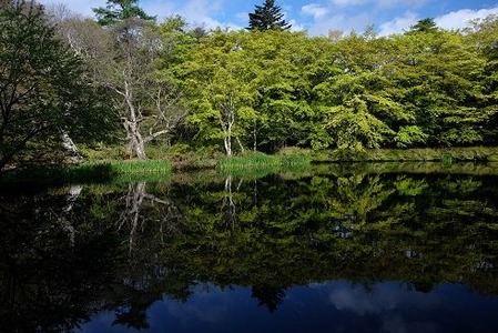 DSCF1062