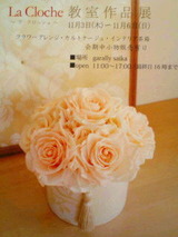 152f2f41.jpg