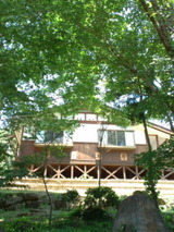 e8072271.jpg