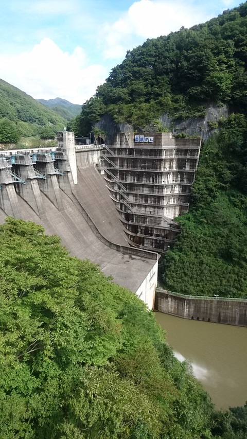 line_1537059561853