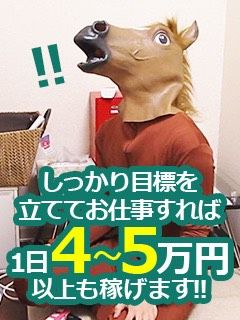 S__45613072
