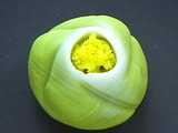 110102和菓子粒餡福寿草A
