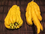 120107ʩ�괻
