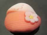 150102和菓子>漉し餡>咲き分