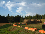 e2134f12.jpg