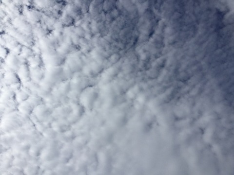 DE0FB2D3-C0D7-49E4-B40D-AA7C3C0C7A6C