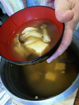 95788e77.jpg