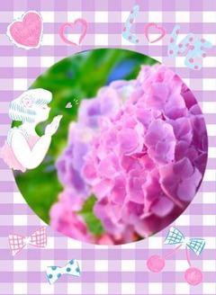 grdr0012013677_0241743173pc