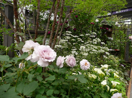 P1020587(1)