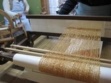 IMG_7480