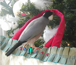 11-12-7-1