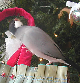 11-12-7-3