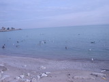 f56019f8.jpg