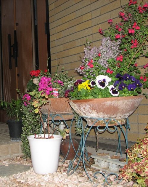 flowers