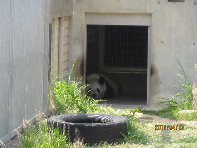 20110403 035