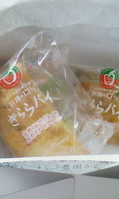 8304192d.jpg