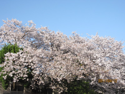20110403 106