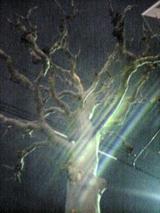 b5d0b505.jpg