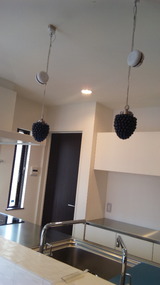 c95eb818.jpg