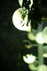 驟雨 〜雫〜
