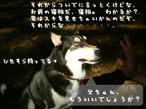 富士丸くん4