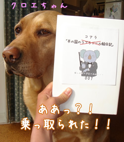 コアラ絵日記?!