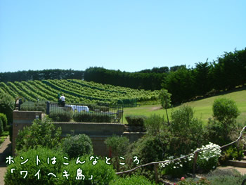 ワイヘキ島2006年撮影