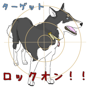 富士丸くん1